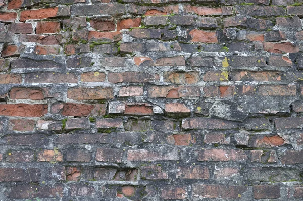 stock image Old brick wall background