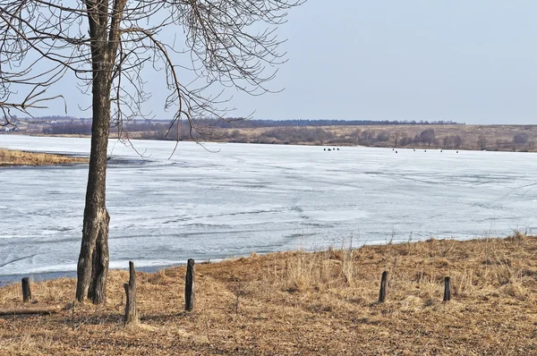 Erken Ilkbaharda Buz Erime Ile Donmuş Nehir Manzarası — Stok fotoğraf