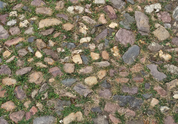 Fragment Van Oude Geplaveide Stoep Met Groen Gras — Stockfoto