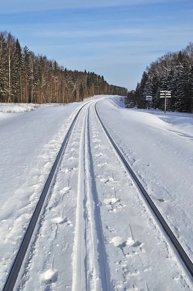 Skidspår Mellan Snöiga Rails Vinter Skog — Stockfoto