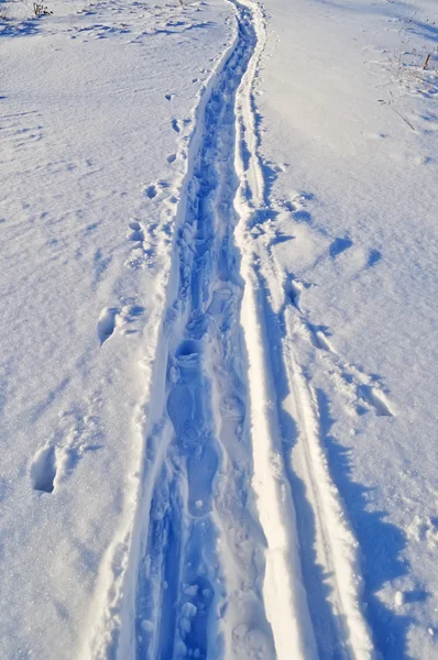 Тропинка в снегу — стоковое фото