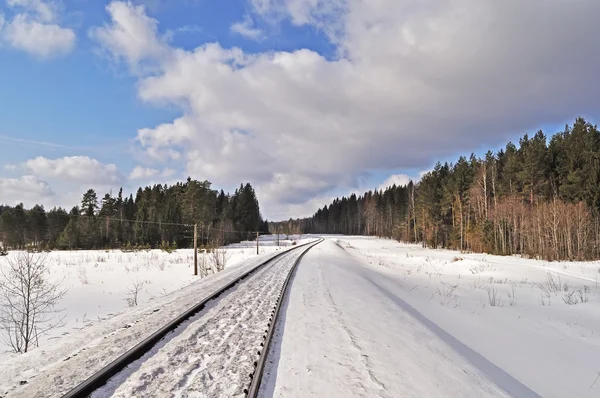 Железная дорога в зимнем лесу — стоковое фото
