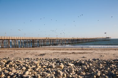 Güney Kaliforniya'nın tarihi ventura pier