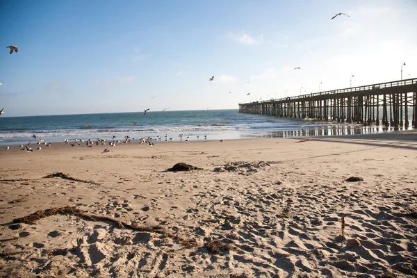 Historische Ventura Pier Zuid Californië — Stockfoto