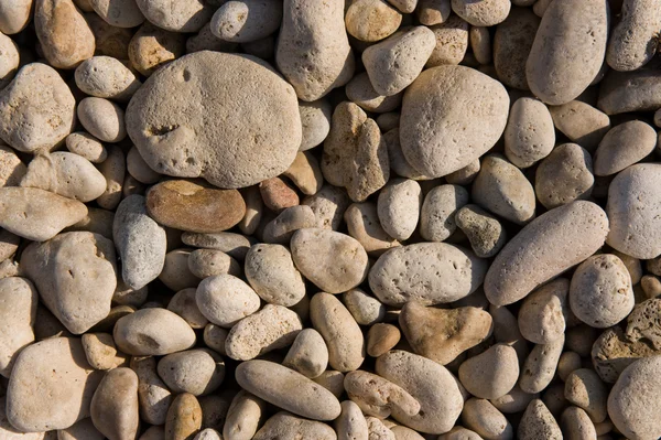 stock image Marine pebble