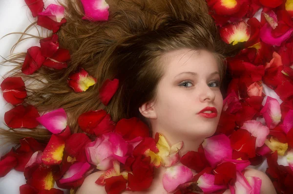 Piękne długie włosy dziewczyna leży w płatkach róży — Zdjęcie stockowe