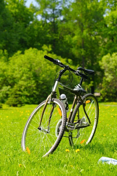 Велосипед в сонячному парку — стокове фото