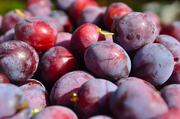 Heap of plums — Stock Photo, Image