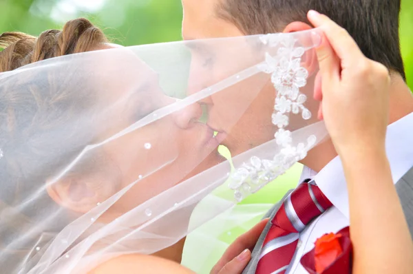 La pareja casada se besa — Foto de Stock