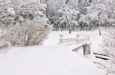 Winter park, pavlovsk, saint-petersburg, Rusya Federasyonu
