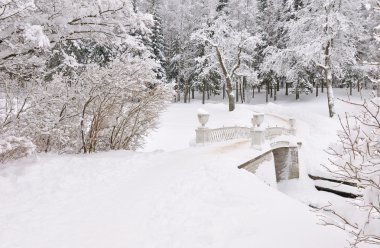 Winter park, Pavlovsk, Saint-Petersburg, Russia clipart