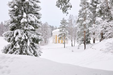 Winter park, pavlovsk, saint-petersburg, Rusya Federasyonu