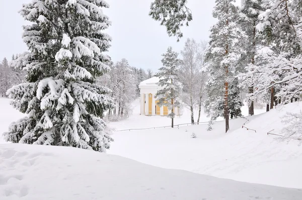 Parque de invierno, Pavlovsk, San Petersburgo, Rusia — Foto de Stock