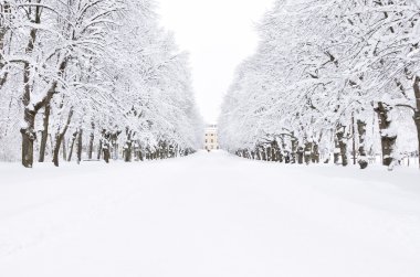 Winter park, pavlovsk, saint-petersburg, Rusya Federasyonu