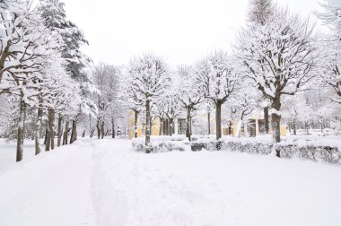 Winter park, pavlovsk, saint-petersburg, Rusya Federasyonu