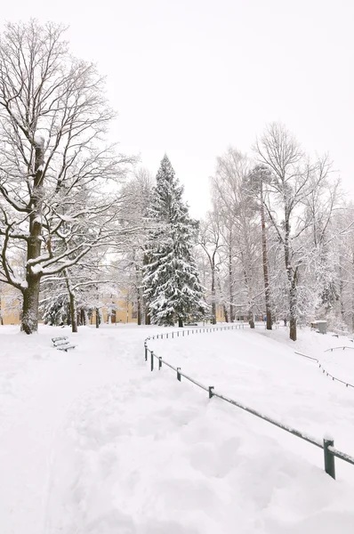 Parque de invierno, Pavlovsk, San Petersburgo, Rusia —  Fotos de Stock