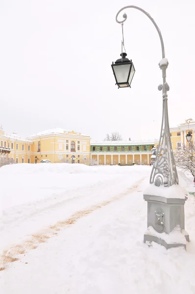 冬季公园，巴甫洛夫斯克、 圣彼得堡，俄罗斯 — 图库照片