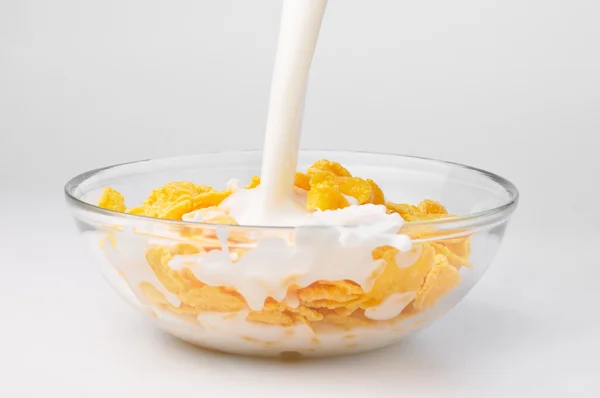 Milk stream flowing to the bowl with corn flakes — Stock Photo, Image