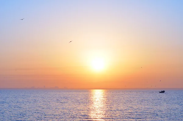 Oceaan zonsopgang en vogels — Stockfoto