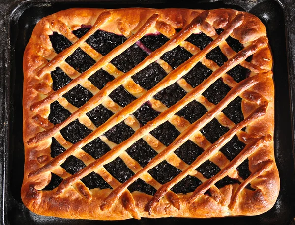 Пиріг з чорницею на випічці — стокове фото