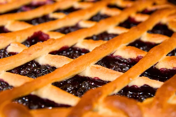 Close Fresh Blueberry Pie — Stock Photo, Image