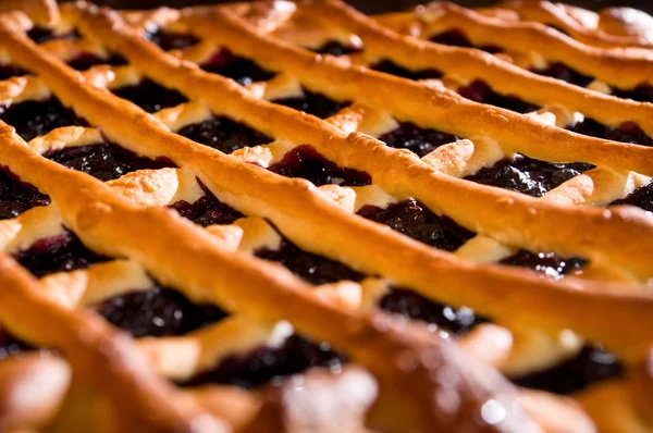 Fresh blueberry pie — Stock Photo, Image
