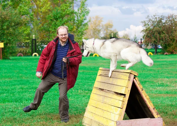 Siberian husky z mężczyzną — Zdjęcie stockowe