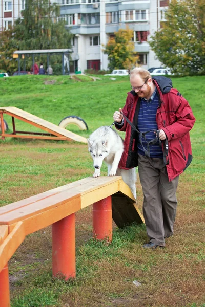 Σιβηρία σκύλος χάσκεϋ με έναν άνθρωπο — Φωτογραφία Αρχείου