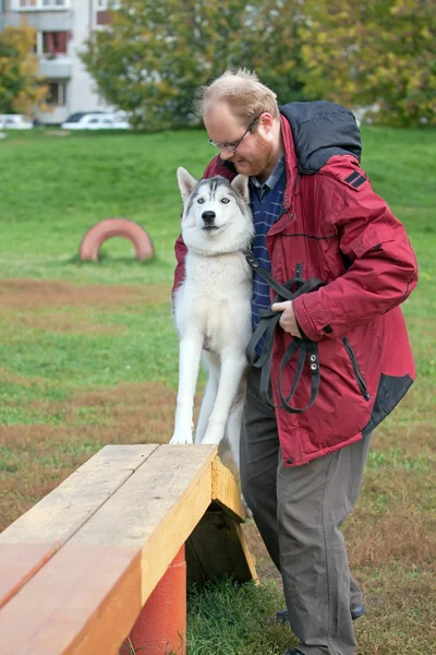 Husky siberiano com um homem — Fotografia de Stock