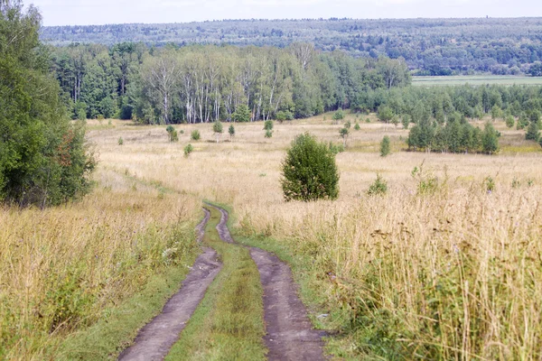 stock image Rural landscape in a summer day