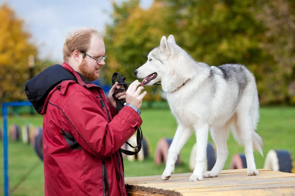 Homem Com Uma Raça Cão Siberian Husky — Fotografia de Stock