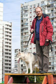 Siberian Husky mit einem Mann