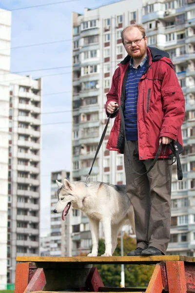 Człowiek Psa Rasy Siberian Husky — Zdjęcie stockowe