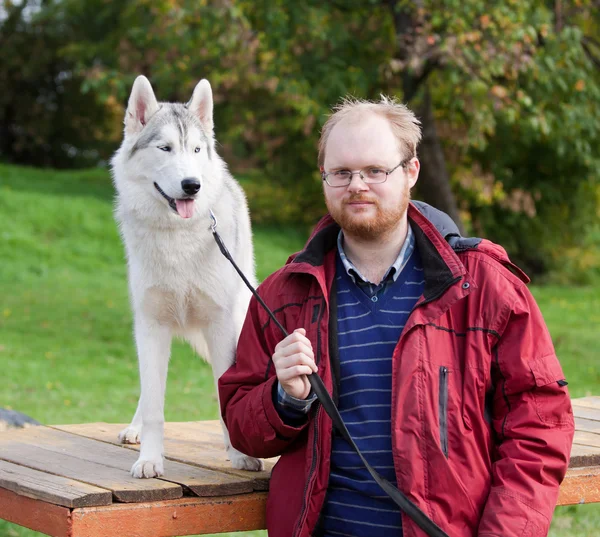 Husky siberiano con un hombre fotografía de stock © Laures 3988099