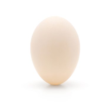 White duck egg clipart