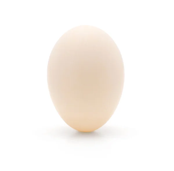 Яйце білий качка — стокове фото