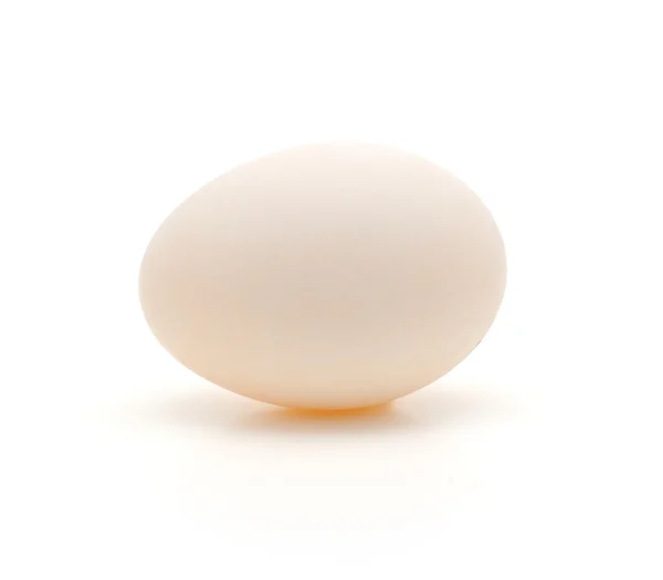 Witte eend ei — Stockfoto