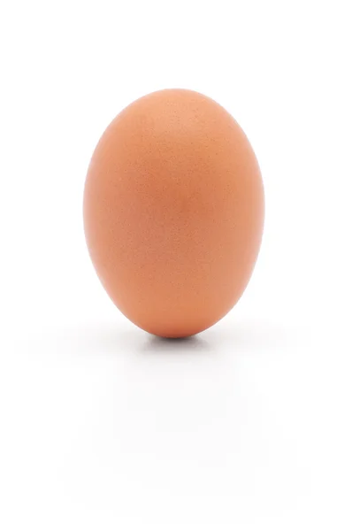 Uovo di canna — Foto Stock