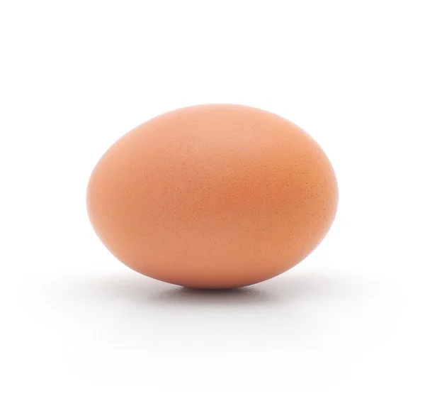 Καφέ αυγό — Φωτογραφία Αρχείου