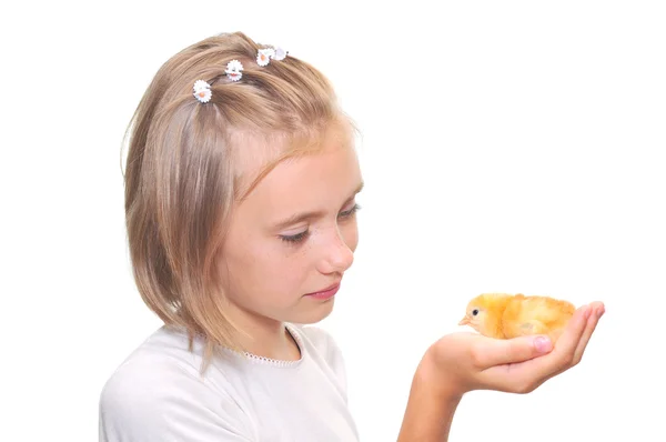 Девочка, держащая цыпленка — стоковое фото