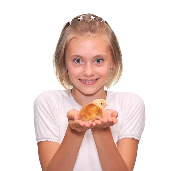 Girl holding a Baby Chick Stock Image