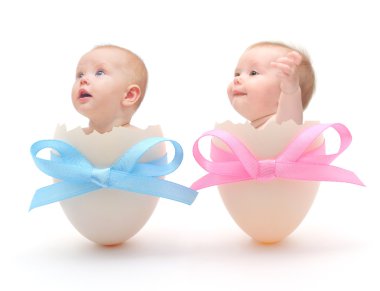 Babies in eggs on white background clipart