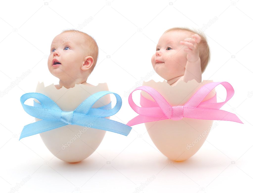 Babies in eggs on white background