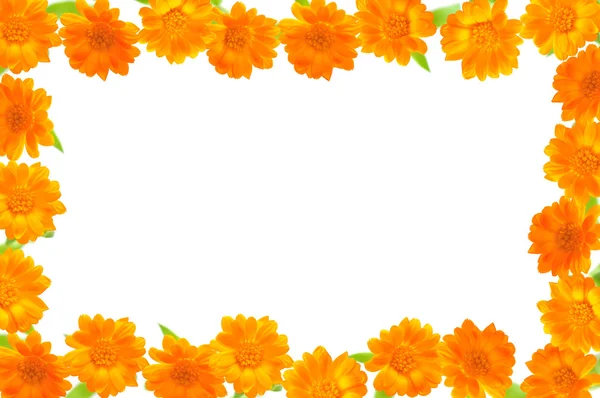 Stock image Note card with orange flowers.