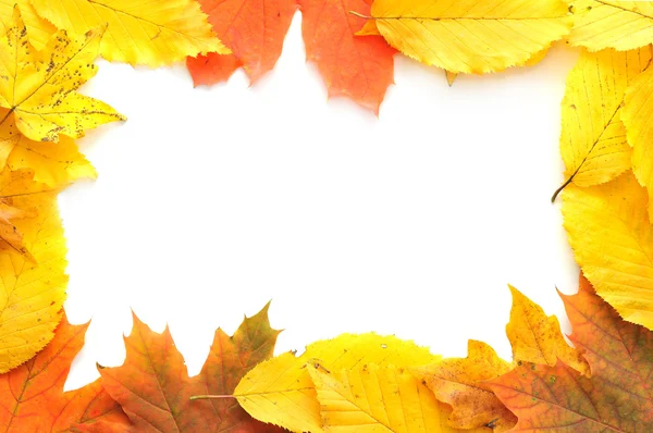 Herbstrahmen — Stockfoto
