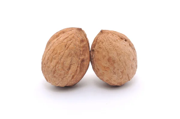 Dvě Izolované Vlašské Ořechy — Stock fotografie
