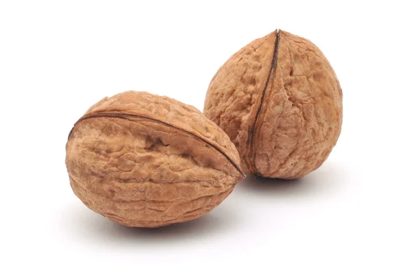 Two Isolated Walnuts — Stock Photo, Image
