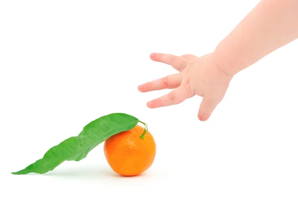 Children Hand Tangerine White Background — Stock Photo, Image
