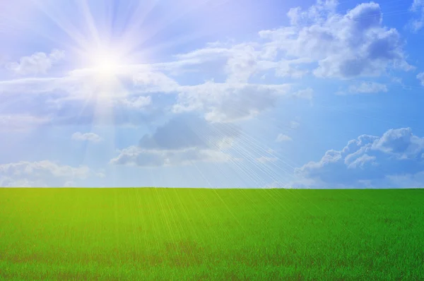 Yeşil çim mavi gökyüzü ve güneş — Stok fotoğraf