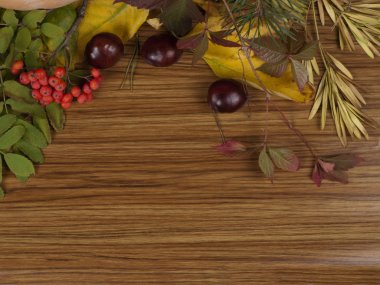 Üvez (bitki) ile arka plan